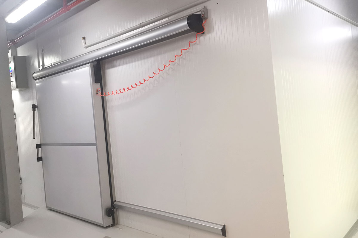 Manual / Automatic Sliding Doors Snow Land