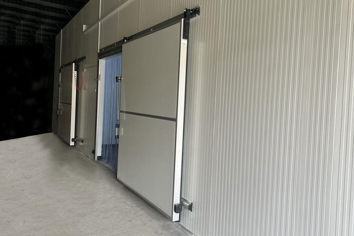 Manual / Automatic Sliding Doors Snow Land